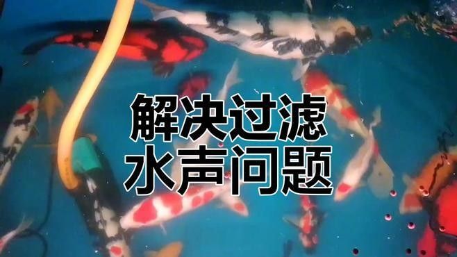 如何調節過濾器出水口以控制水流（調節過濾器出水口噪音大簡單調整輕松解決）