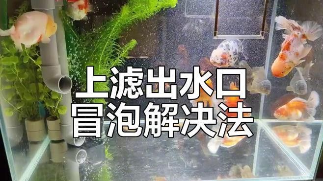 如何調節過濾器出水口以控制水流（調節過濾器出水口噪音大簡單調整輕松解決）