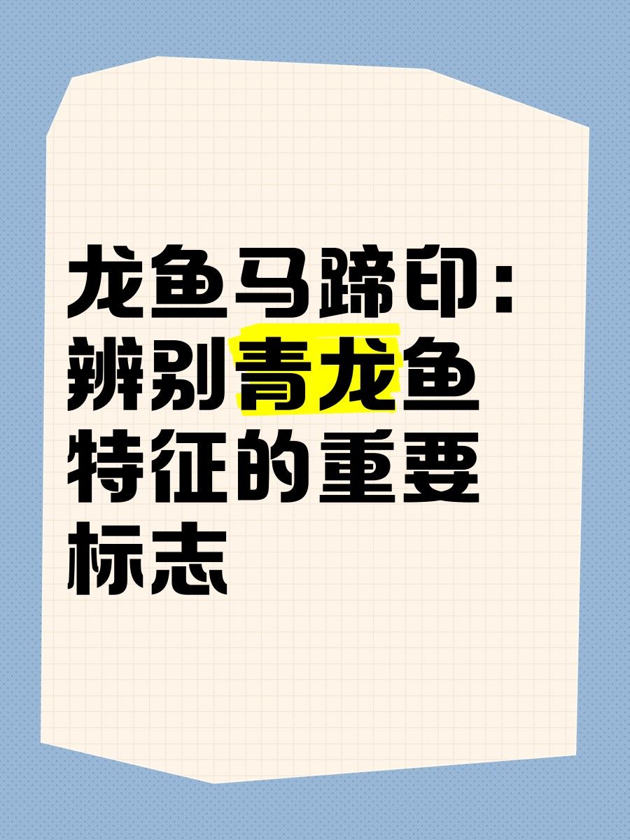 如何判斷金龍魚馬蹄印的純度？（判斷金龍魚馬蹄印的純度需結合鱗片特征、生長表現及血統關聯性綜合分析） 如何判斷金龍魚馬蹄印的純度？（判斷金龍魚馬蹄印的純度需結合鱗片特征、生長表現及血統關聯性綜合分析） 龍魚百科 第15張