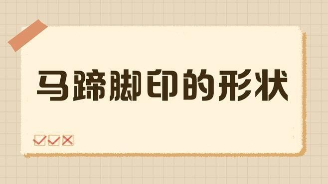 如何區分真假馬蹄印（正品馬蹄印通常呈大半圓形（馬、驢）或橢圓形（騾））