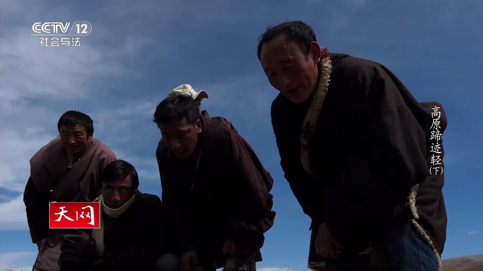 如何區分真假馬蹄印（正品馬蹄印通常呈大半圓形（馬、驢）或橢圓形（騾））
