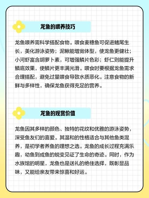 龍魚缸養(yǎng)錦鯉的飼料選擇（養(yǎng)錦鯉最忌諱的事盤點(diǎn)新手養(yǎng)錦鯉8大坑）