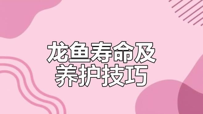 哪些因素會(huì)影響招財(cái)龍魚的壽命（招財(cái)龍魚的壽命受哪些因素影響）