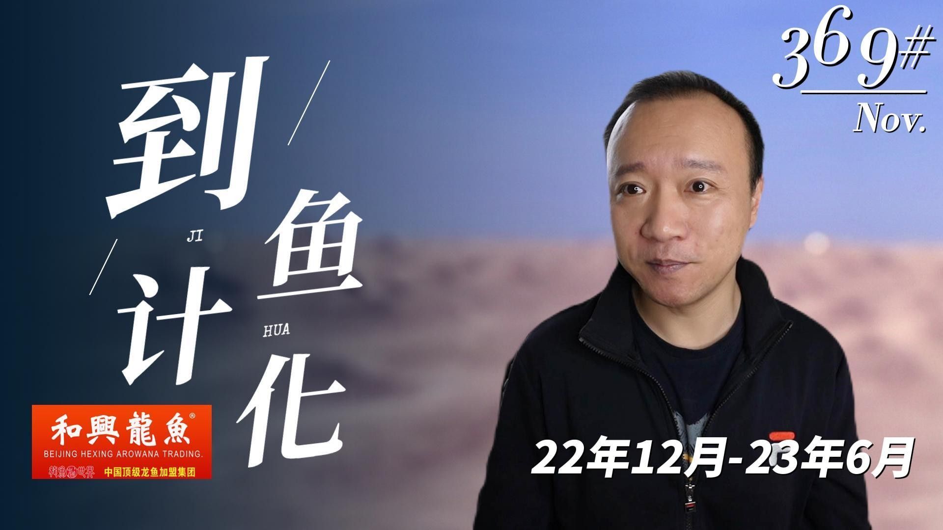 北京哪里有賽級龍魚出售？（北京地區可購買賽級龍魚）