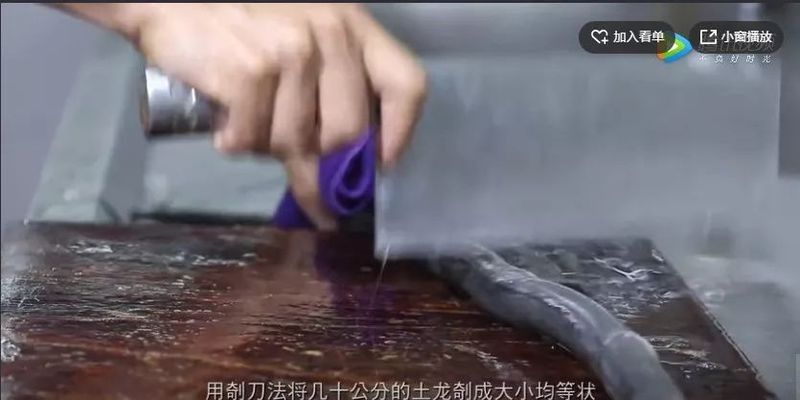 土龍還可以怎么烹飪？（買2條野生“土龍”，燉上整個大豬腿）