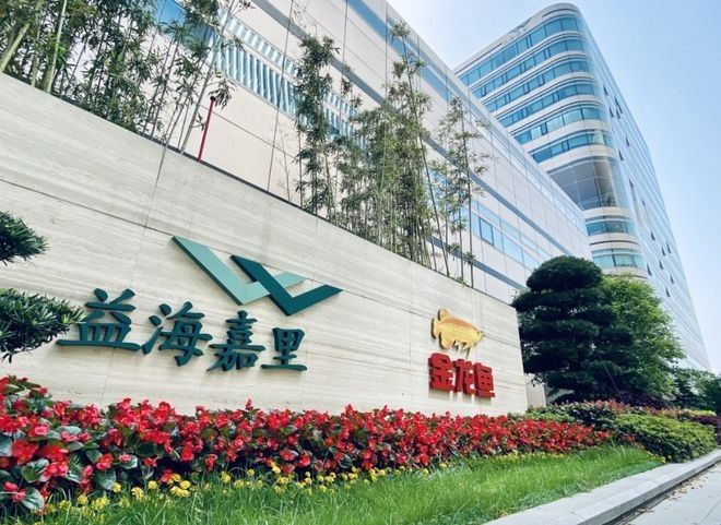 金頭金龍魚的價格是多少？（金頭金龍魚價格揭秘）