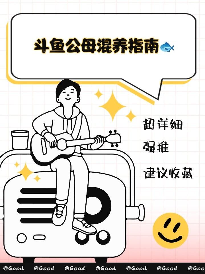 混養時需要準備哪些遮蔽物？（混養時遮蔽物的設置是減少沖突、保障安全的關鍵措施）