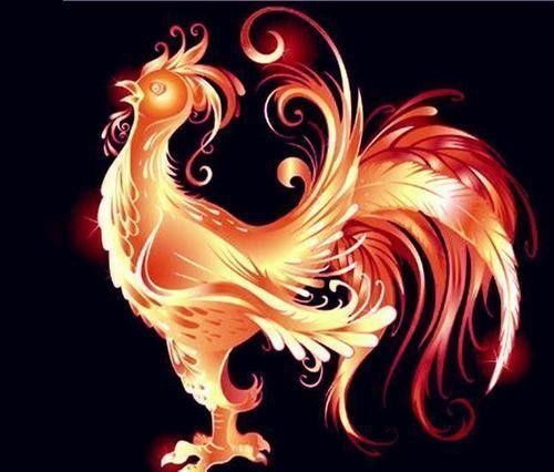 紅龍與雞的婚姻中，誰更強勢（屬龍和雞的婚姻如何平衡？）
