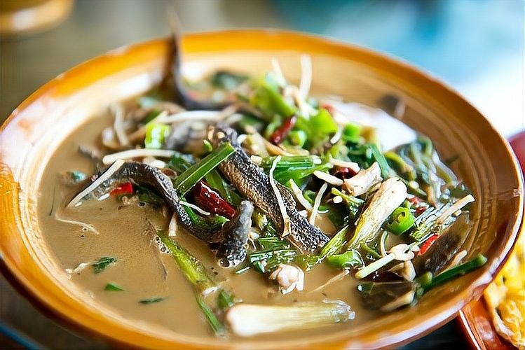 龍魚吃泥鰍有哪些注意事項（龍魚喂食泥鰍的注意事項）