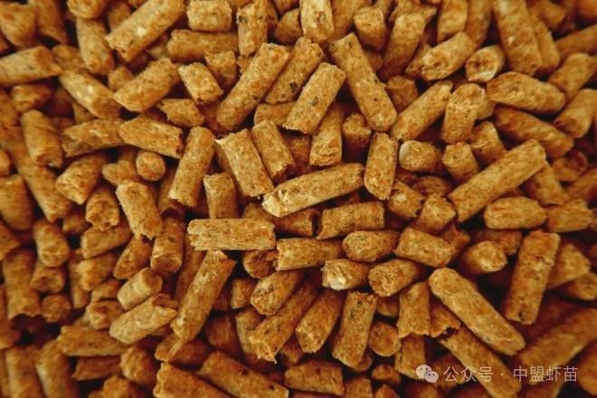 仟湖G2大粒和G2小粒有何區別（仟湖龍魚飼料g1和g2的區別）