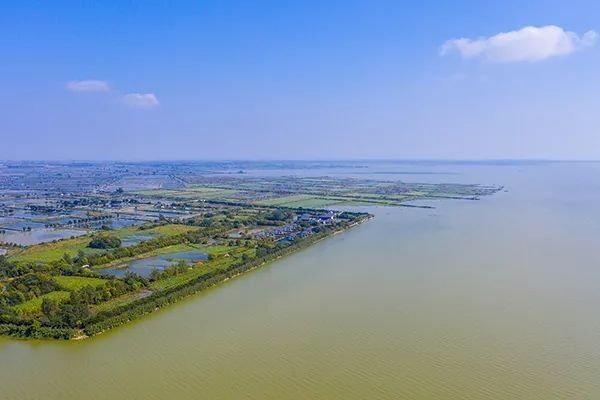 海龍魚禁令對漁民有哪些影響（海龍魚禁令對漁民有何影響？）