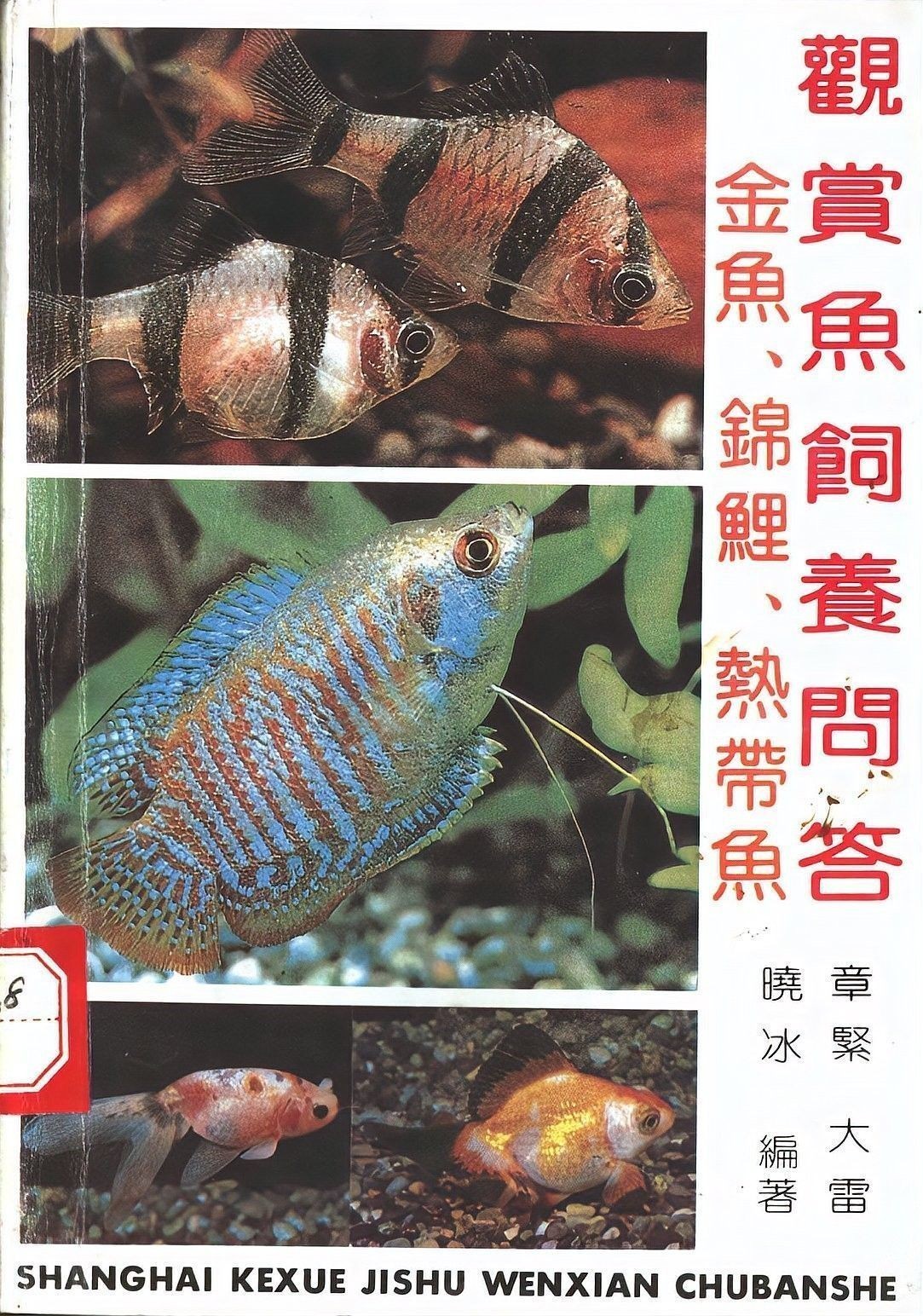 藍(lán)寶石龍魚(yú)繁殖需要注意什么（養(yǎng)魚(yú)老道聽(tīng)，藍(lán)寶石龍魚(yú)怎么繁殖） 藍(lán)寶石龍魚(yú)繁殖需要注意什么（養(yǎng)魚(yú)老道聽(tīng)，藍(lán)寶石龍魚(yú)怎么繁殖） 龍魚(yú)百科 第2張
