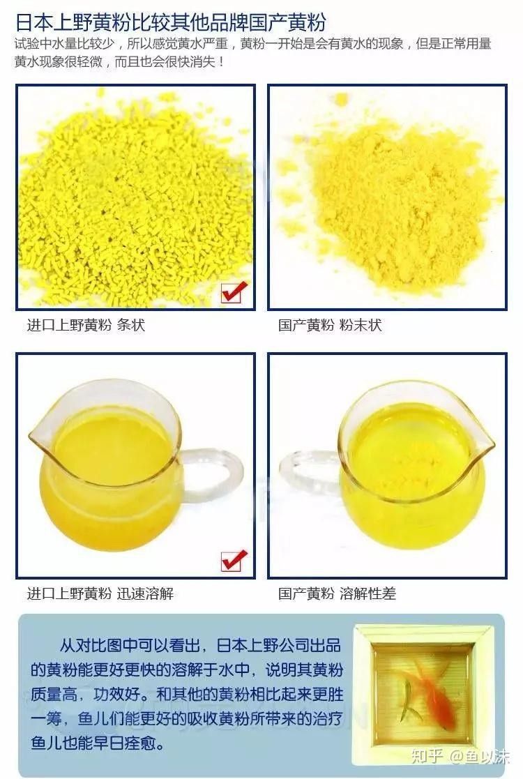 如何區(qū)分真假黃粉？（一招辨別上野黃粉真假，別再交智商稅）