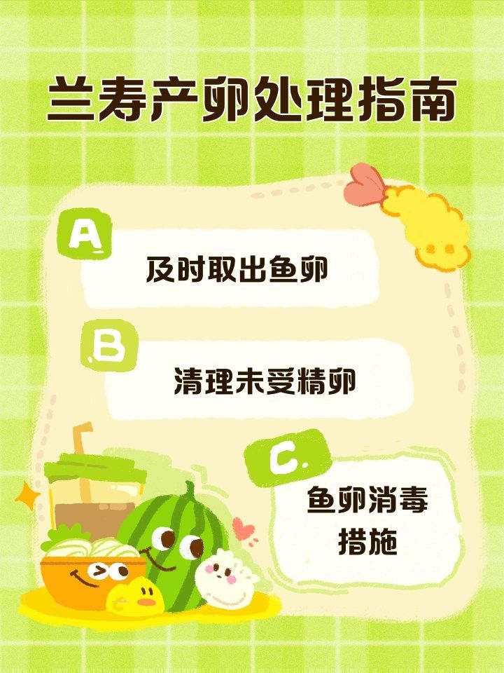 雷龍魚繁殖后如何處理魚卵（雷龍魚如何繁殖，魚缸里繁殖攻略）