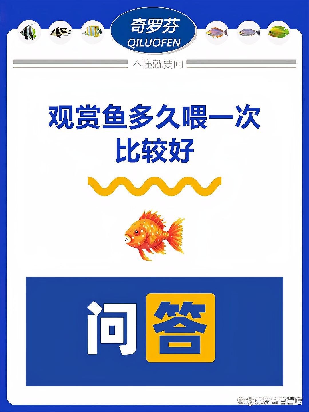 龍魚(yú)夏天多久喂一次食？（如何喂養(yǎng)龍魚(yú)）