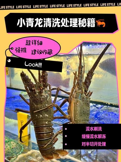 龍頭魚擺件清洗后如何保養(yǎng)？（黃龍玉貔貅怎么養(yǎng)護）