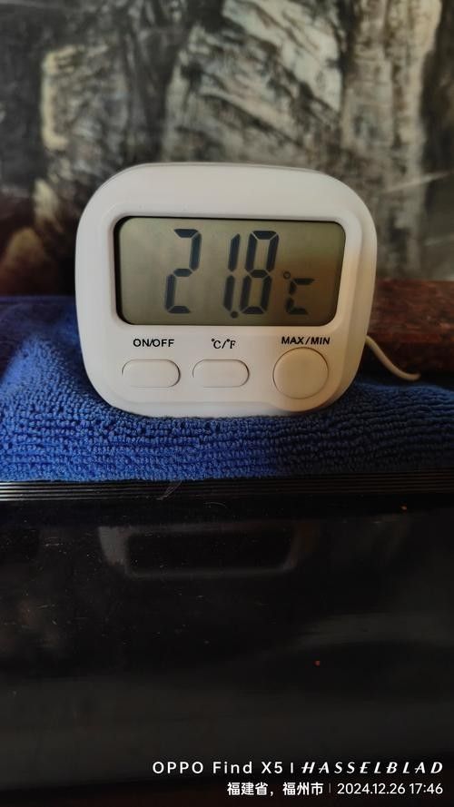 金龍魚缸溫度計推薦（金龍魚缸溫度計哪種好途）