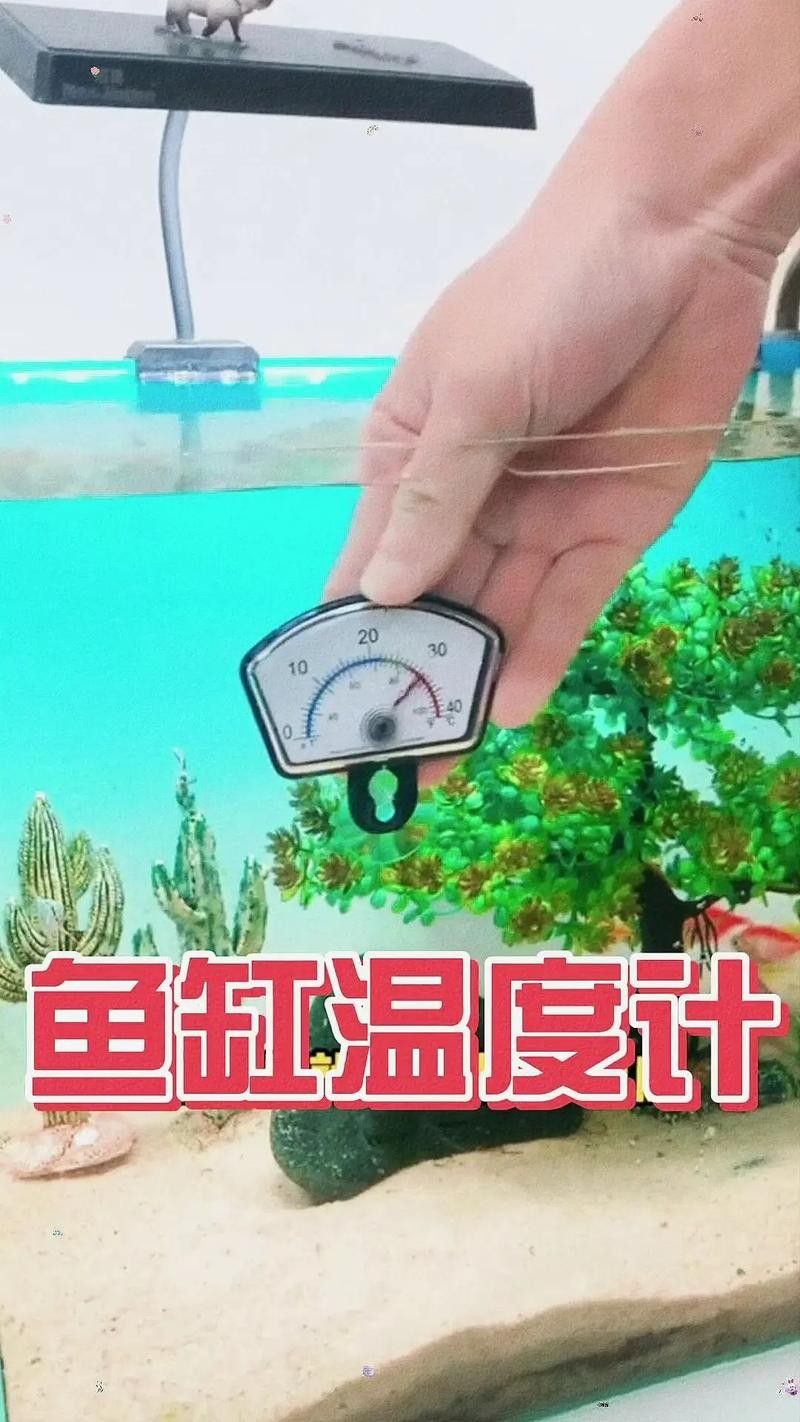 金龍魚缸溫度計推薦（金龍魚缸溫度計哪種好途）