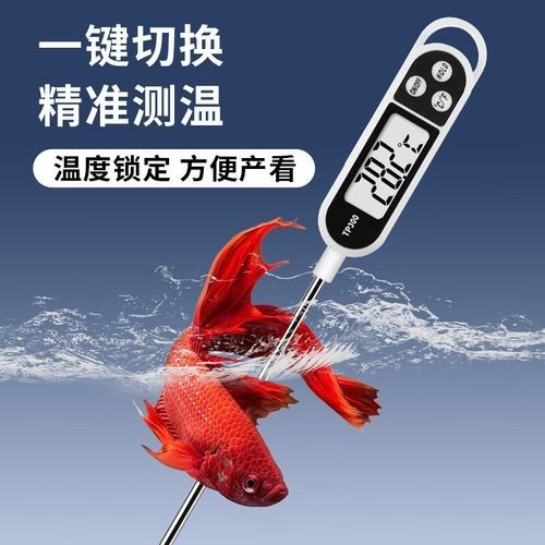 金龍魚缸溫度計推薦（金龍魚缸溫度計哪種好途）