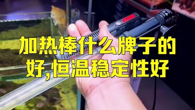 哪種類型的加熱棒更穩定？（共參考4篇資料）