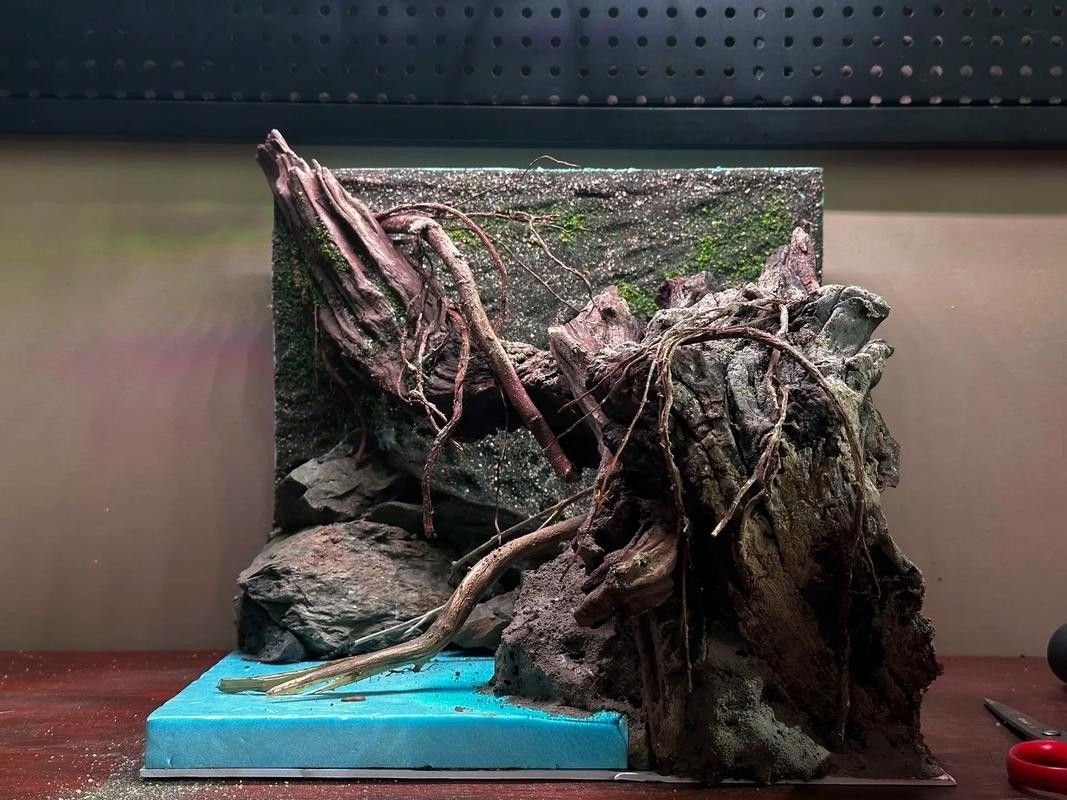 奶茶雷龍魚缸造景圖片欣賞（奶茶雷龍魚新家大揭秘一米五大缸造景全攻略）