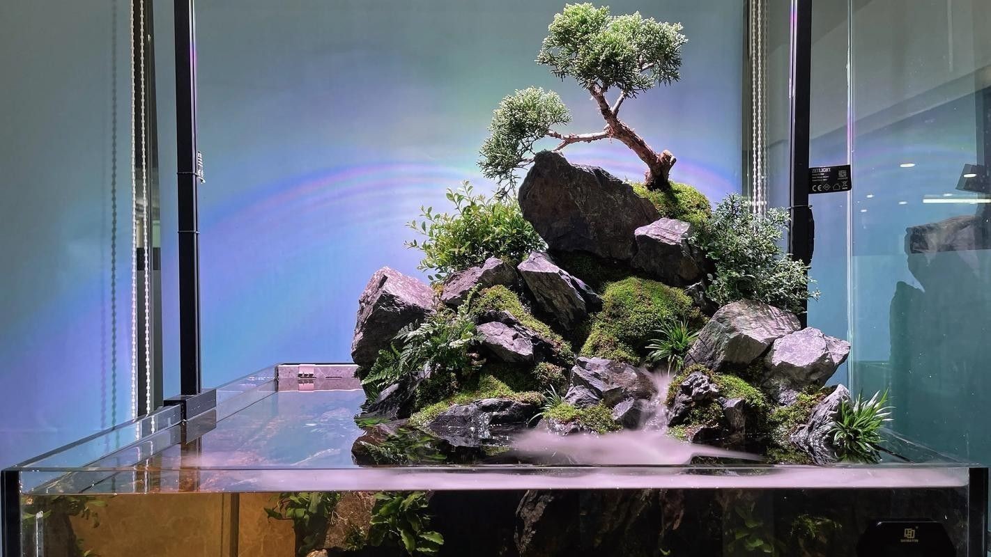 奶茶雷龍魚缸造景圖片欣賞（奶茶雷龍魚新家大揭秘一米五大缸造景全攻略）