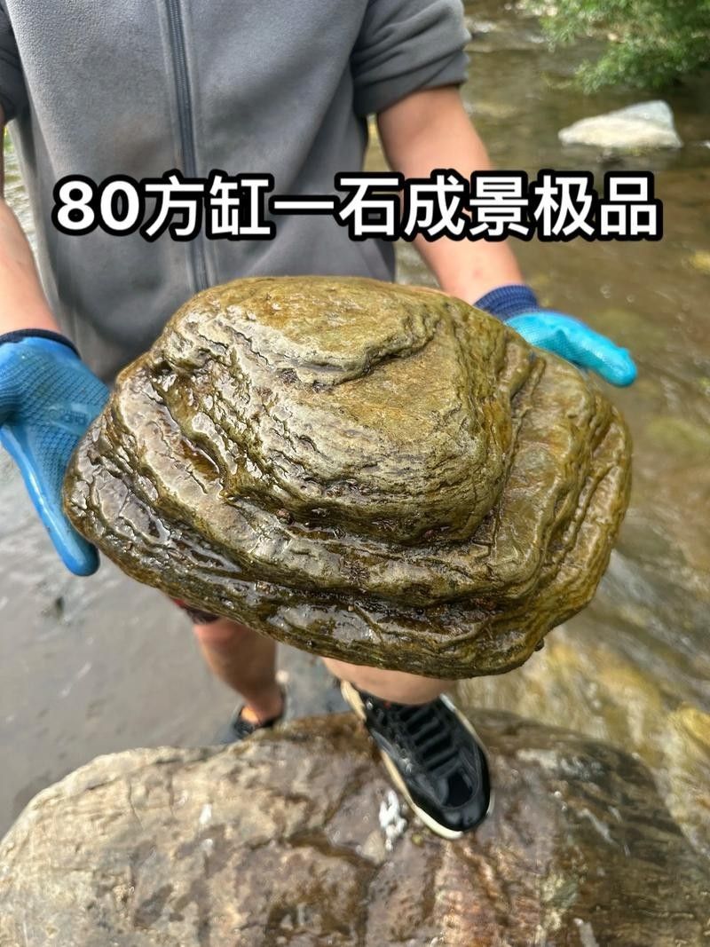 有哪些品牌造景石推薦？（綜合多個可信來源整理的造景石品牌推薦及特點分析）