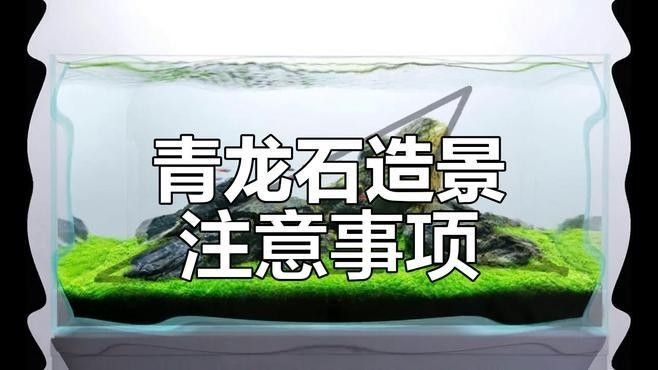龍魚缸水草造景步驟（雷龍缸造景教程嗶哩嗶哩嗶哩嗶哩嗶哩嗶哩嗶哩）