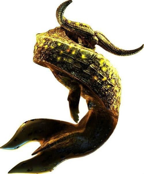 淡水海龍魚有哪些圖片？（海龍魚長什么樣）