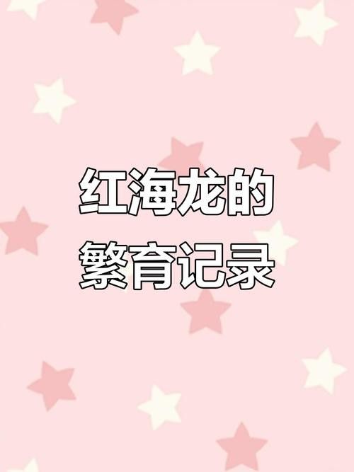 淡水海龍魚有哪些圖片？（海龍魚長什么樣）