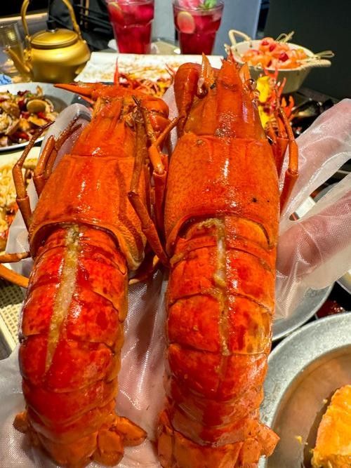 淡水海龍魚有哪些圖片？（海龍魚長什么樣）