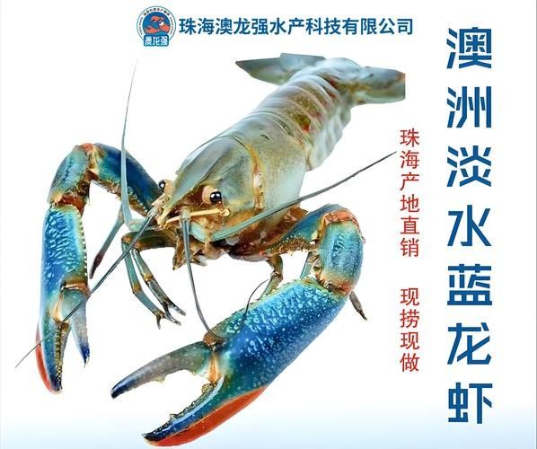 淡水海龍魚有哪些圖片？（海龍魚長什么樣）
