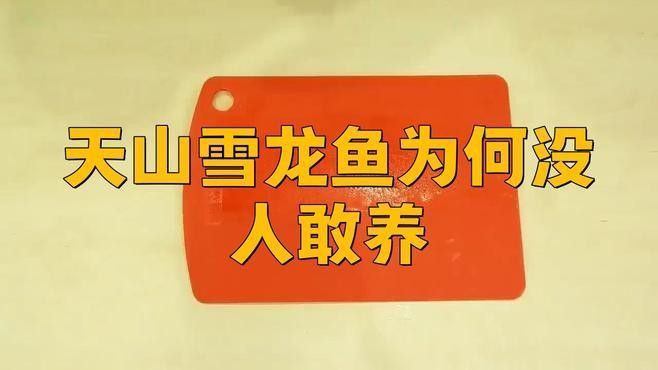 山東濟南批發市場的雪龍魚來源可靠嗎（關于山東濟南批發市場雪龍魚的來源可靠性分析如下）