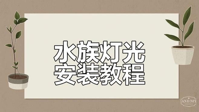 紅龍魚照明燈具的安裝步驟（久鼎螢火蟲龍魚燈安裝全流程） 紅龍魚照明燈具的安裝步驟（久鼎螢火蟲龍魚燈安裝全流程） 龍魚百科 第2張