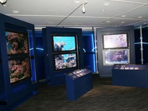 山海關哪個水族館龍魚好？祥龍魚場龍魚（山海關與龍魚相關的水族館及魚場信息如下：祥龍魚場）