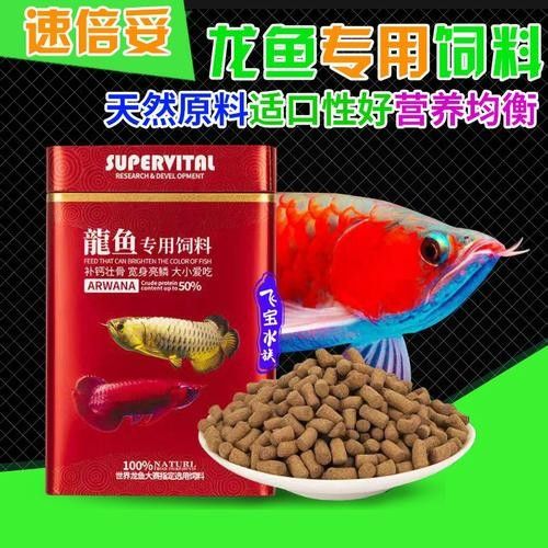 紅龍魚飼料價格是多少（養紅龍魚發色出狀態攻略）