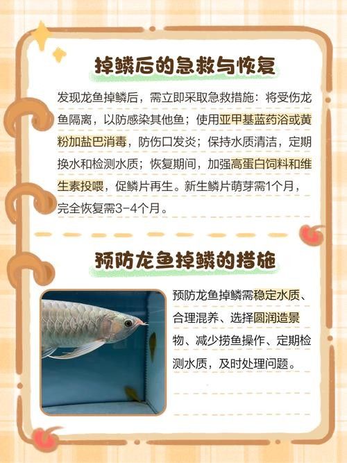 如何預防龍魚中毒？（中國鰻魚網龍魚中毒死亡原因大揭秘如何避免悲劇發生）