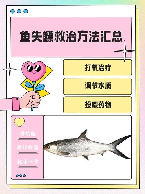 如何預防龍魚中毒？（中國鰻魚網龍魚中毒死亡原因大揭秘如何避免悲劇發生）