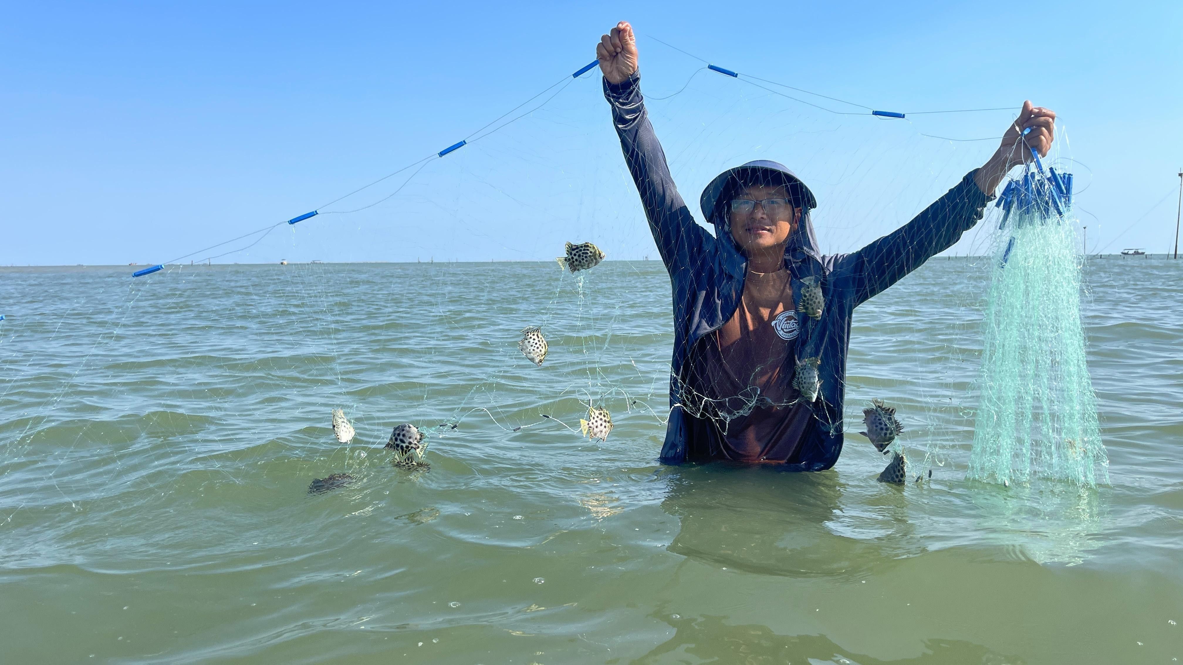 非洲金鼓魚混養最佳搭配（非洲金鼓魚混養建議）