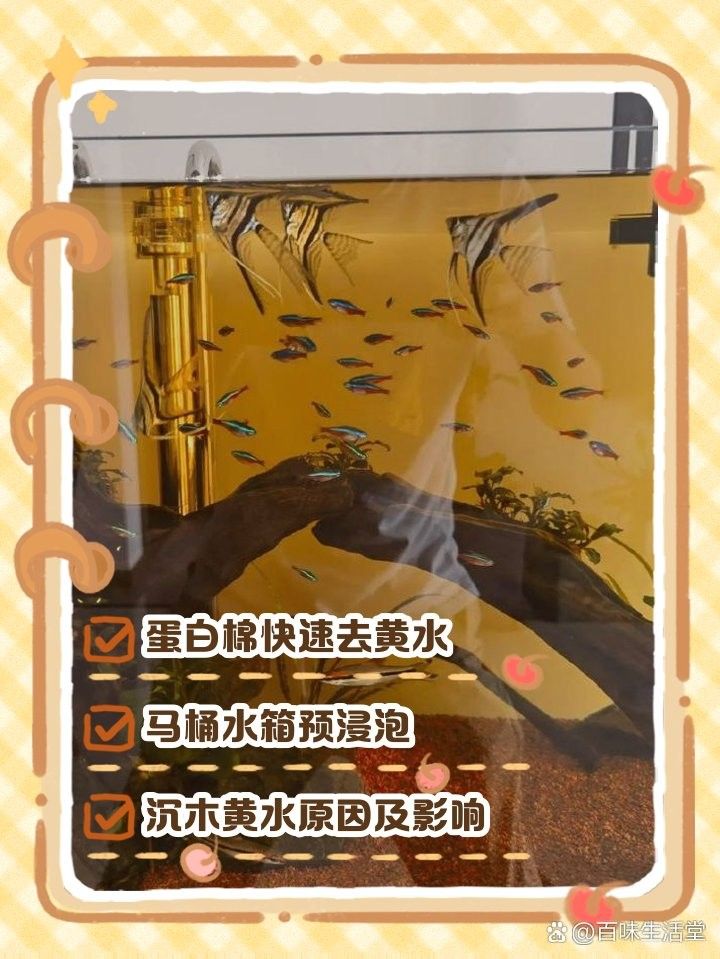 沉木黃水問題如何解決？（沉木黃水怎樣解決）