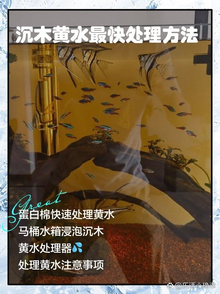 沉木黃水問題如何解決？（沉木黃水怎樣解決）
