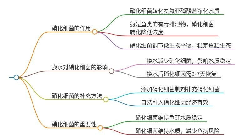 太陽能水換水后需要加硝化細菌嗎（九松健康,魚缸換水后需要加硝化細菌嗎）