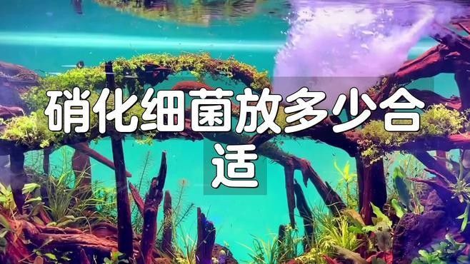 太陽能水換水后需要加硝化細菌嗎（九松健康,魚缸換水后需要加硝化細菌嗎）