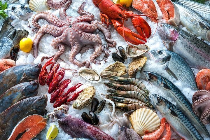 龍魚打包發貨后多久會到？（北方龍魚第一村，在北辰！）