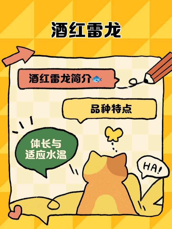 酒紅雷龍魚(yú)繁殖注意事項(xiàng)（酒紅雷龍繁殖全過(guò)程揭秘）