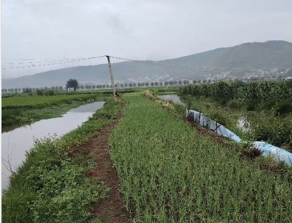 該養殖基地是否有官方網站？（會澤智興養殖有限公司官方網站） 該養殖基地是否有官方網站？（會澤智興養殖有限公司官方網站） 龍魚百科 第1張