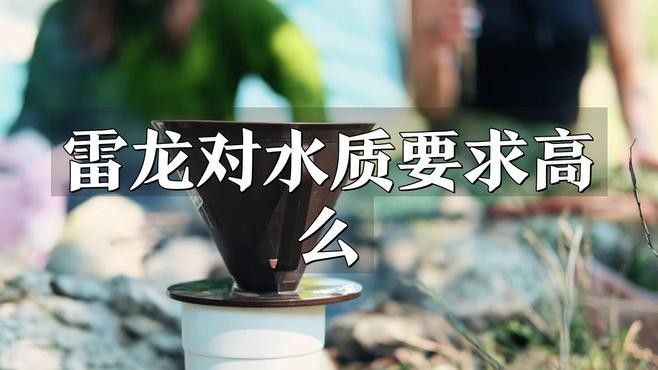 如何優化藍月雷龍魚缸環境（藍月雷龍魚偏好弱酸性至中性軟水ph值建議維持在6.5之間）
