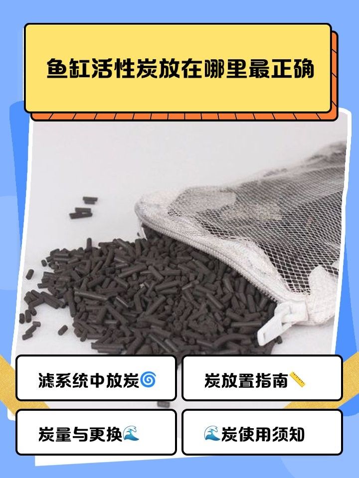 底濾魚缸活性炭放在哪個槽（底濾魚缸中活性炭的放置位置需結合過濾系統水流方向和濾材分層邏輯） 底濾魚缸活性炭放在哪個槽（底濾魚缸中活性炭的放置位置需結合過濾系統水流方向和濾材分層邏輯） 龍魚百科 第9張