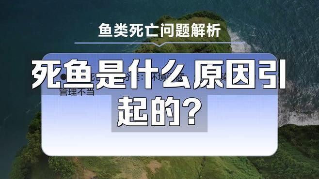 紅龍魚死亡的原因有哪些（紅龍魚死亡原因可歸納為以下幾類）