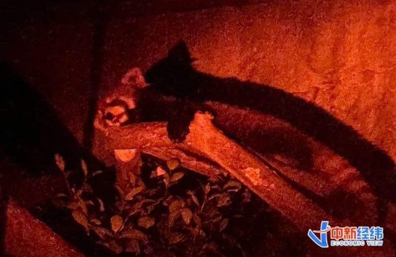 鯨鯊館的門票價格是多少（珠海長隆海洋王國鯨鯊館門票價格信息）